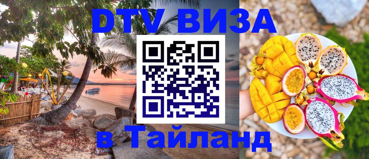 Оформление DTV визы под ключ: стоимость и тарифы, только загранпаспорт - Саратов 